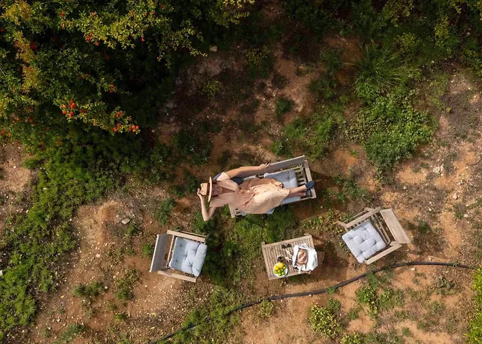 Villa Orchard By Tangerine *