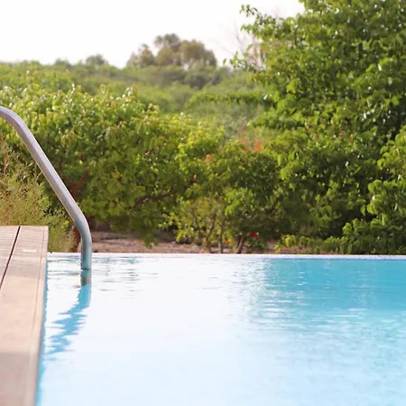 Orchard By Tangerine