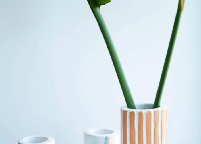 Orchard By Tangerine * Protaras