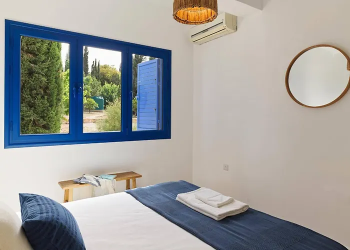 Orchard By Tangerine *