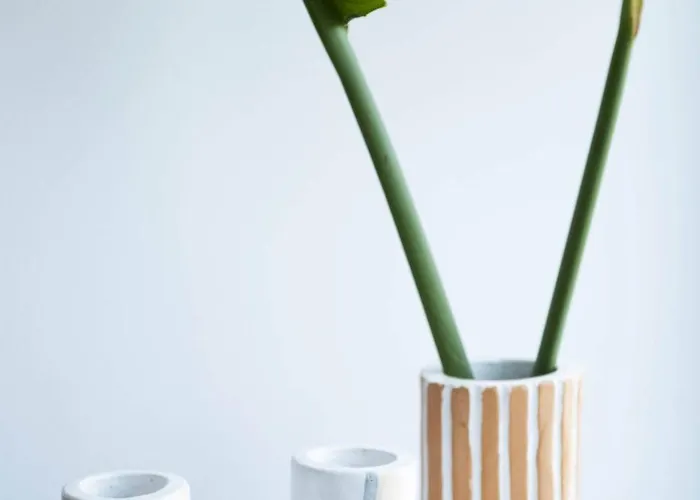 Orchard By Tangerine Protaras