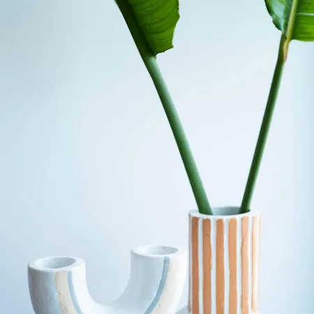 Orchard By Tangerine * بروتاراس