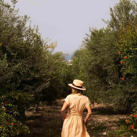 Orchard By Tangerine بروتاراس