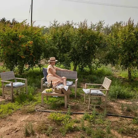 Orchard By Tangerine بروتاراس