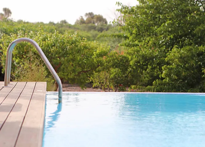 Orchard By Tangerine